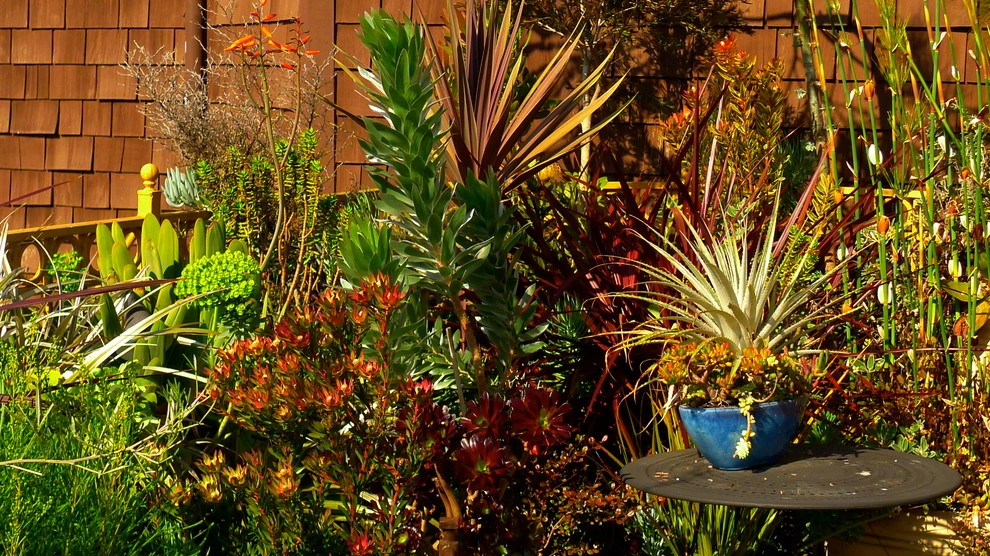 Container gardens by Garden Fantasia - Photo 32