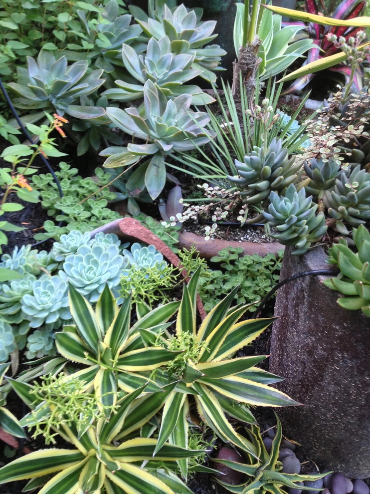 Container gardens by Garden Fantasia - Photo 37