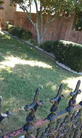 Alberto Alavez Professional Lawn Services LLC 4 by Alberto Alavez Professional Lawn Services LLC - Photo 85