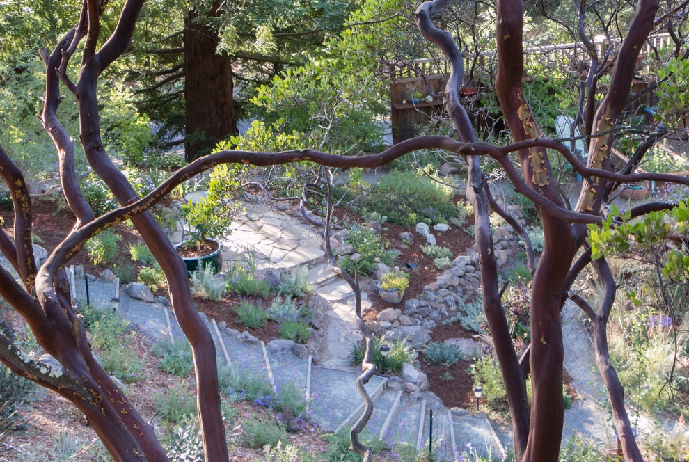 Orinda 5 by Garden Nest Residential Landscape - Photo 7