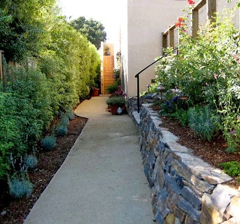 San Rafael by Garden Nest Residential Landscape - Photo 4