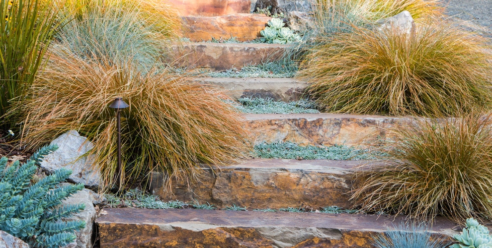 Orinda 3 by Garden Nest Residential Landscape - Photo 2