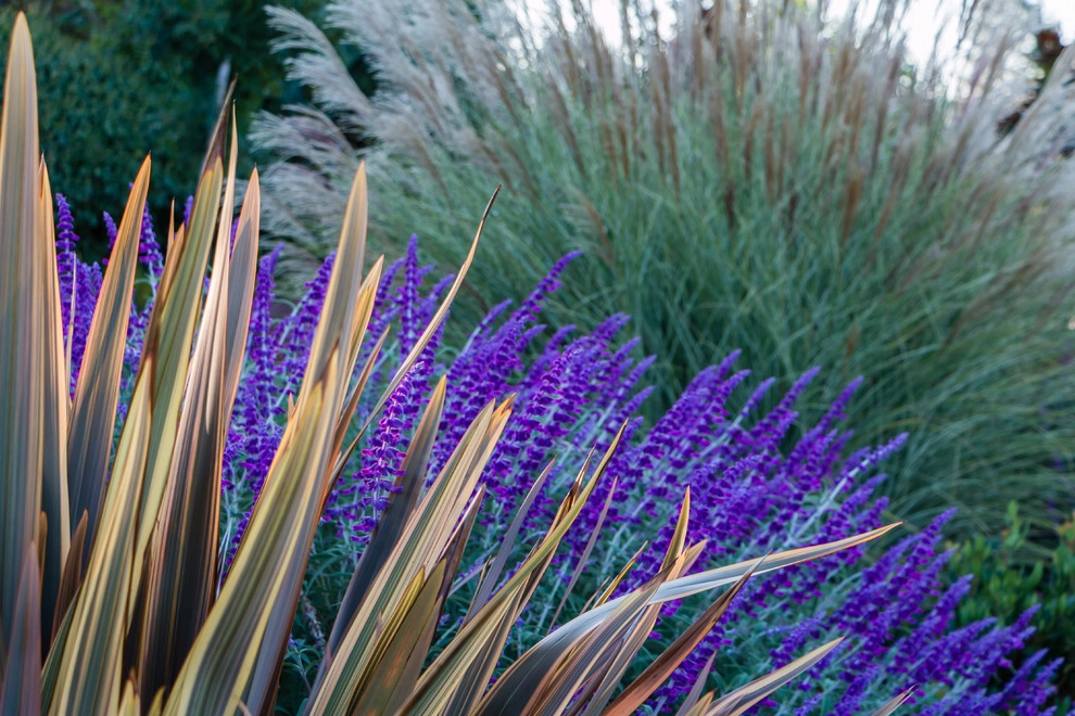 Orinda 2 by Garden Nest Residential Landscape - Photo 11