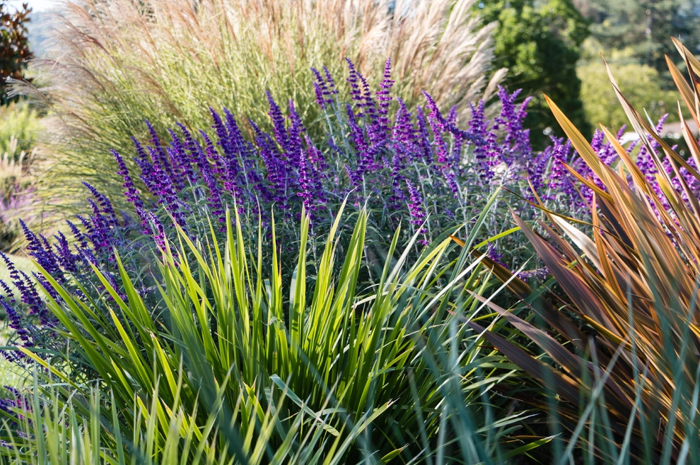 Orinda 2 by Garden Nest Residential Landscape - Photo 2
