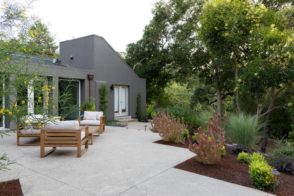 Contemporary Modern by Garden Nest Residential Landscape - Photo 4