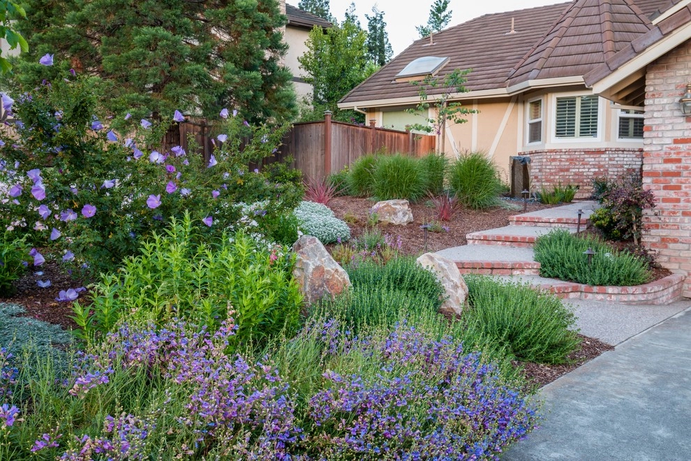 Water Wise Garden by Garden Nest Residential Landscape - Photo 6