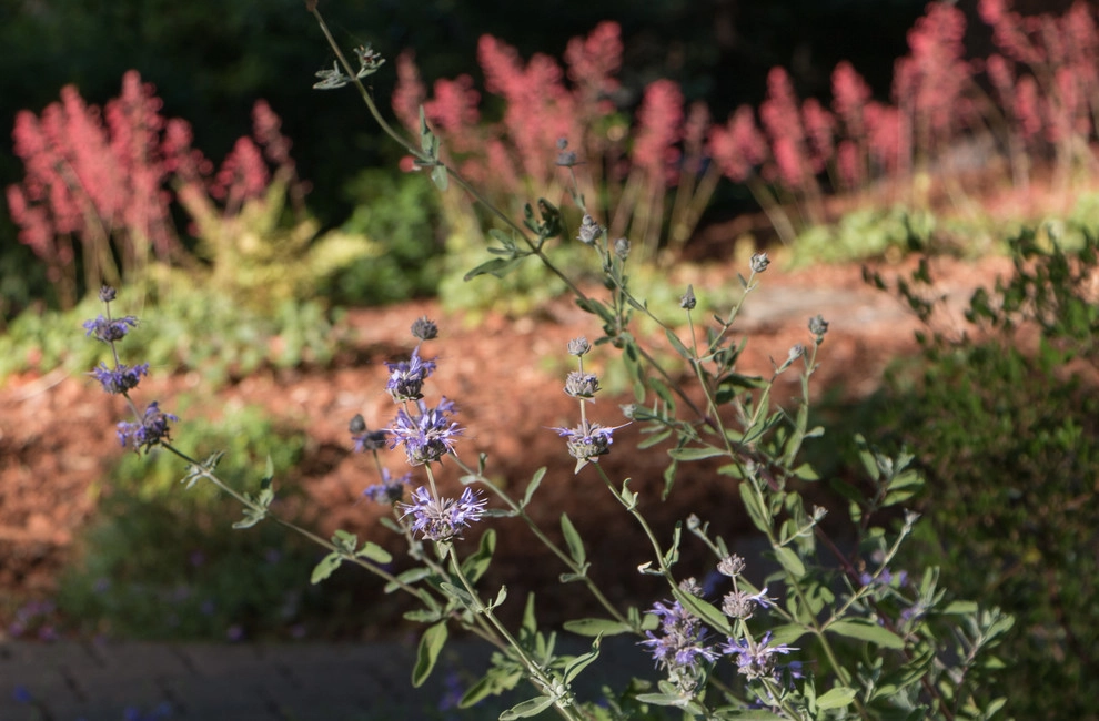 Orinda 4 by Garden Nest Residential Landscape - Photo 9