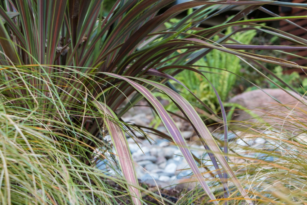 Orinda 3 by Garden Nest Residential Landscape - Photo 16