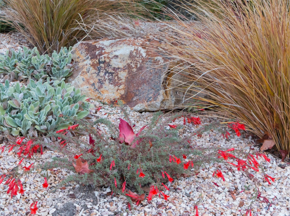 Orinda 6 by Garden Nest Residential Landscape - Photo 5