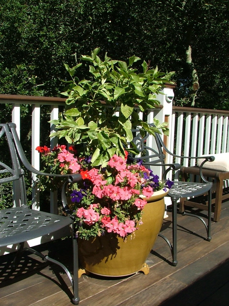 Orinda by Garden Nest Residential Landscape - Photo 3