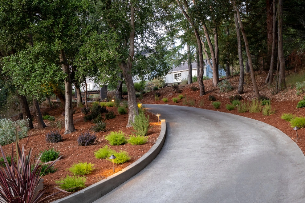 Contemporary Modern by Garden Nest Residential Landscape - Photo 9