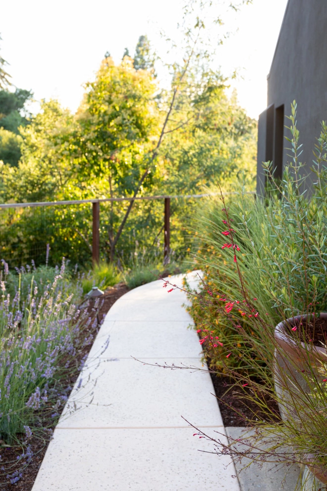 Contemporary Modern by Garden Nest Residential Landscape - Photo 3