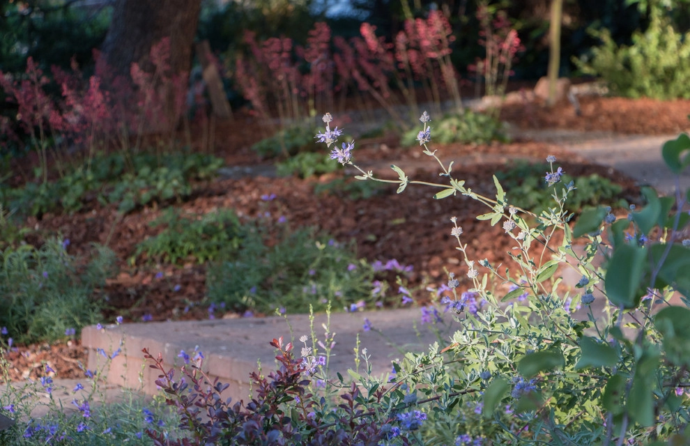 Orinda 4 by Garden Nest Residential Landscape - Photo 4
