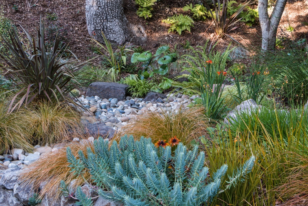 Orinda 3 by Garden Nest Residential Landscape - Photo 19