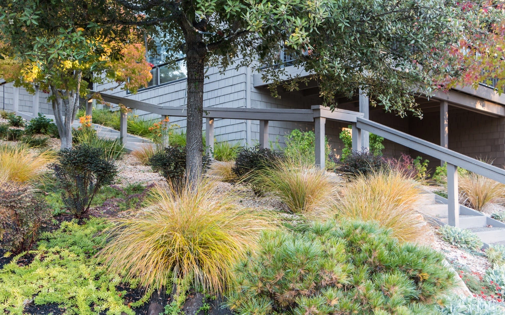 Orinda 6 by Garden Nest Residential Landscape - Photo 2
