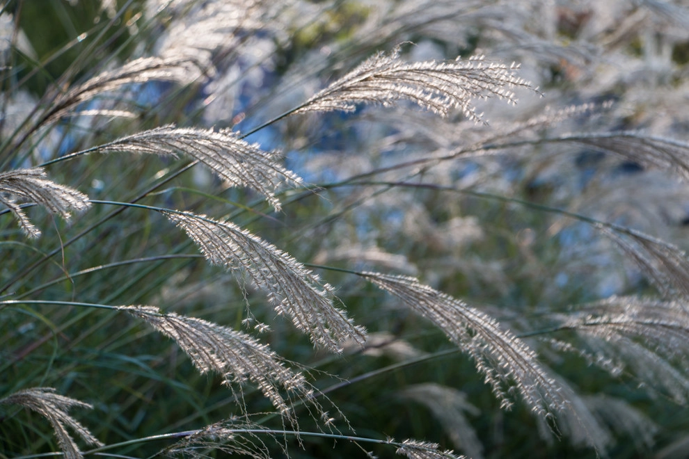 Garden Nest Residential Landscape - Photo 2
