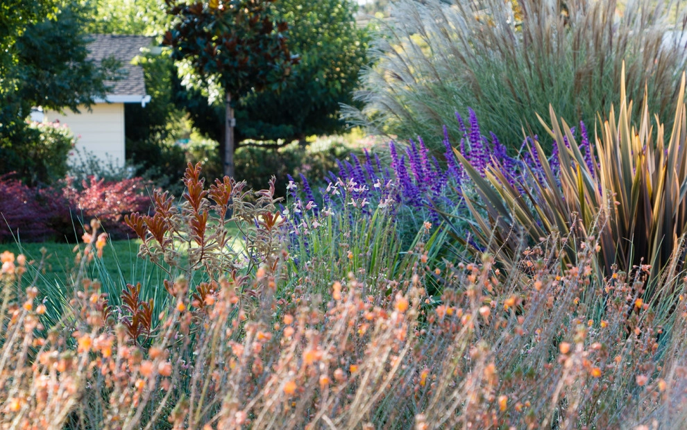 Orinda 2 by Garden Nest Residential Landscape - Photo 9