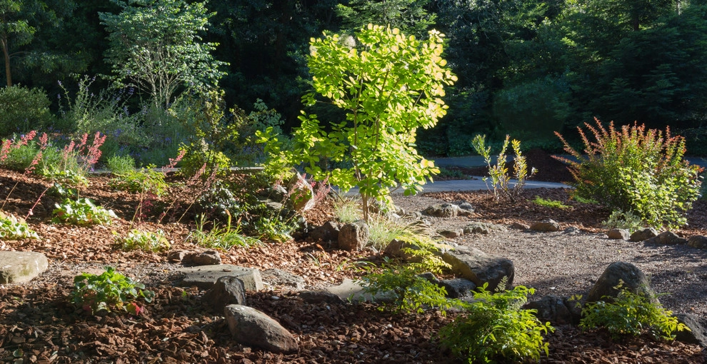 Orinda 4 by Garden Nest Residential Landscape - Photo 5