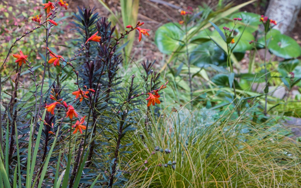 Orinda 3 by Garden Nest Residential Landscape - Photo 3