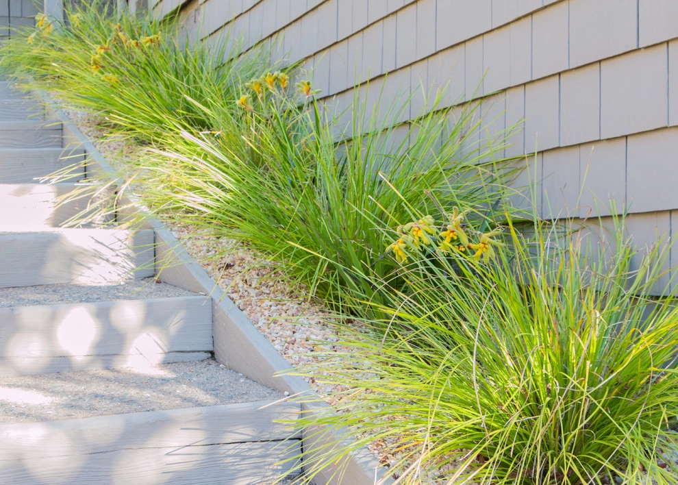 Orinda 6 by Garden Nest Residential Landscape - Photo 4