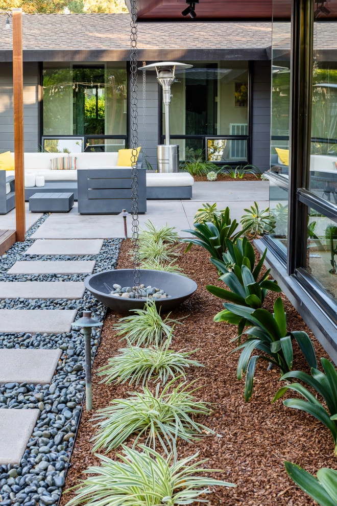 Mid-century Modern by Garden Nest Residential Landscape - Photo 2