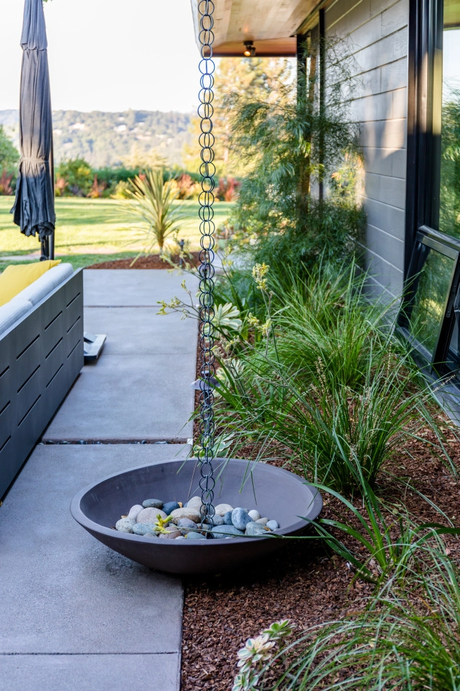 Mid-century Modern by Garden Nest Residential Landscape - Photo 9