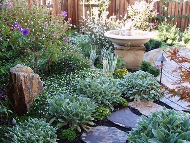 San Rafael by Garden Nest Residential Landscape - Photo 2