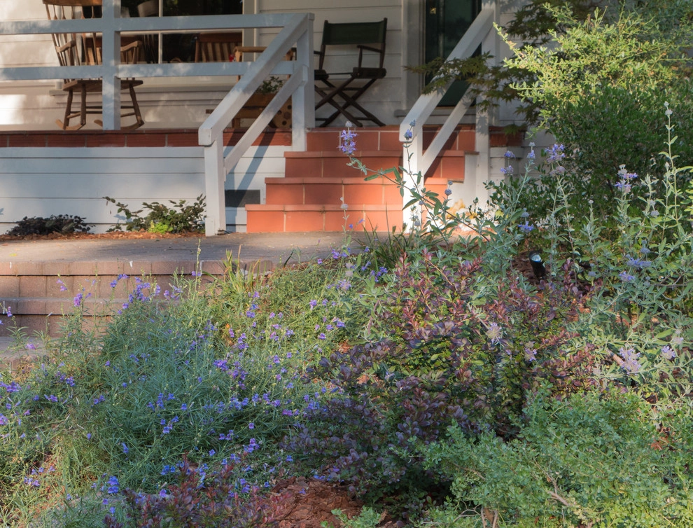 Orinda 4 by Garden Nest Residential Landscape - Photo 6