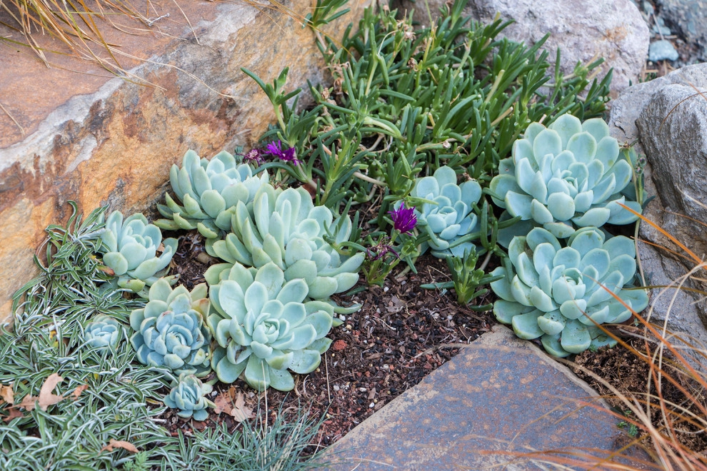 Orinda 3 by Garden Nest Residential Landscape - Photo 8