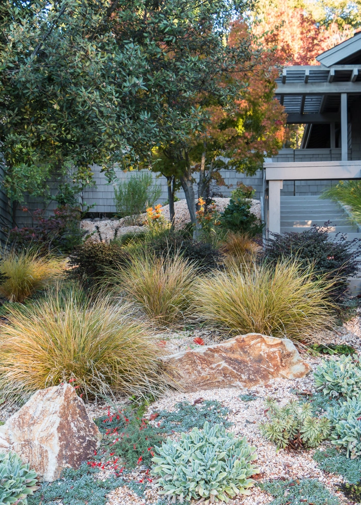 Orinda 6 by Garden Nest Residential Landscape - Photo 6