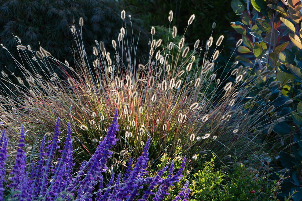 Orinda 2 by Garden Nest Residential Landscape - Photo 8