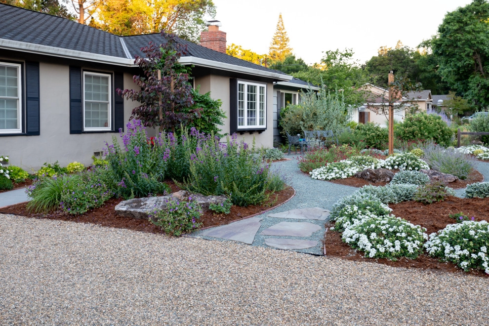 No Mow -Low Water Use / Drought Resistant by Garden Nest Residential Landscape - Photo 2
