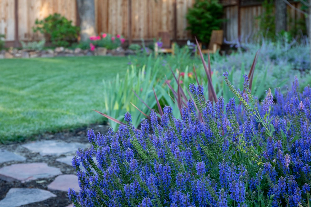 Lafayette Pool Conversion to Charming Backyard by Garden Nest Residential Landscape - Photo 4