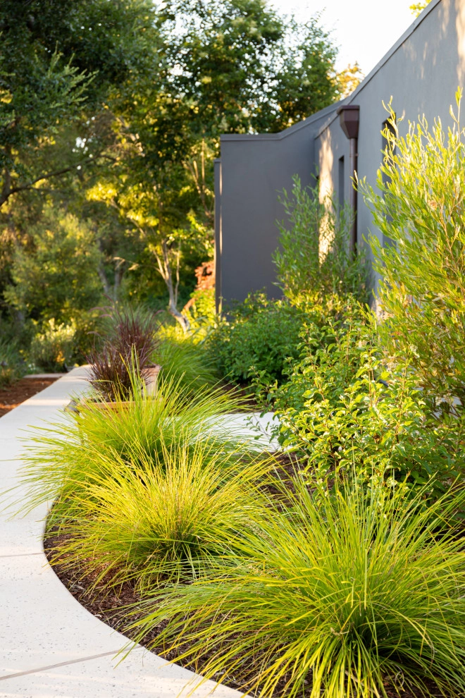Contemporary Modern by Garden Nest Residential Landscape - Photo 7