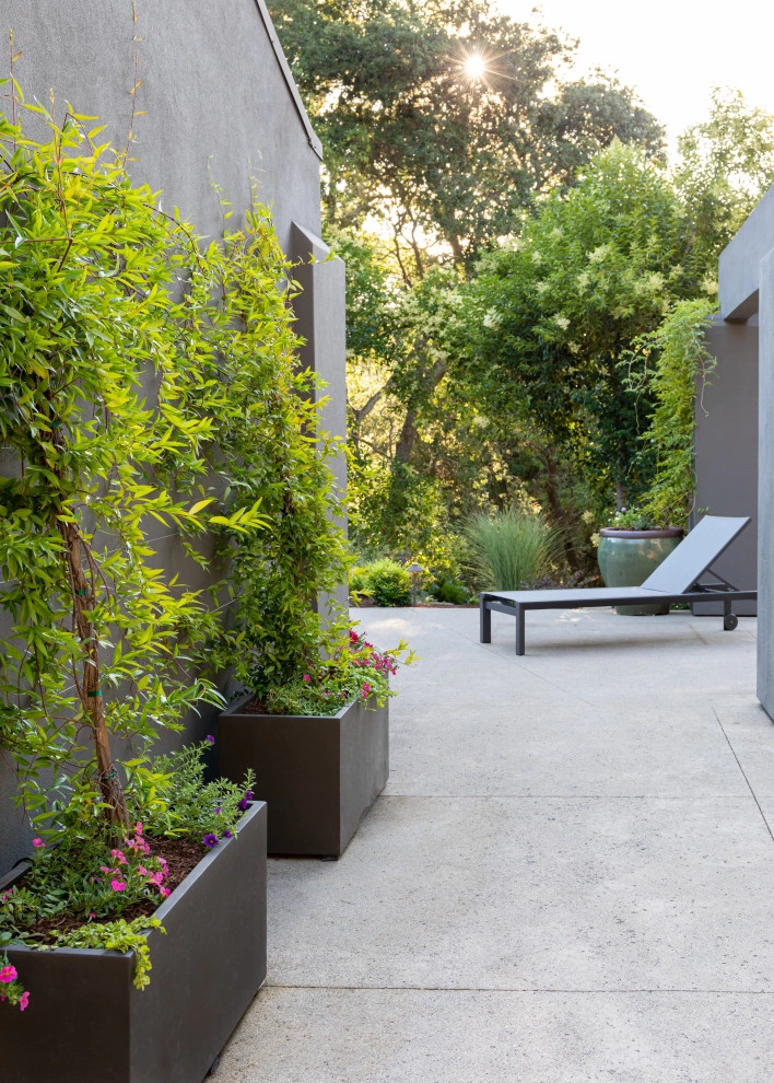 Contemporary Modern by Garden Nest Residential Landscape - Photo 6