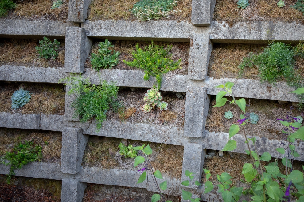 Creative Solutions by Garden Nest Residential Landscape - Photo 6