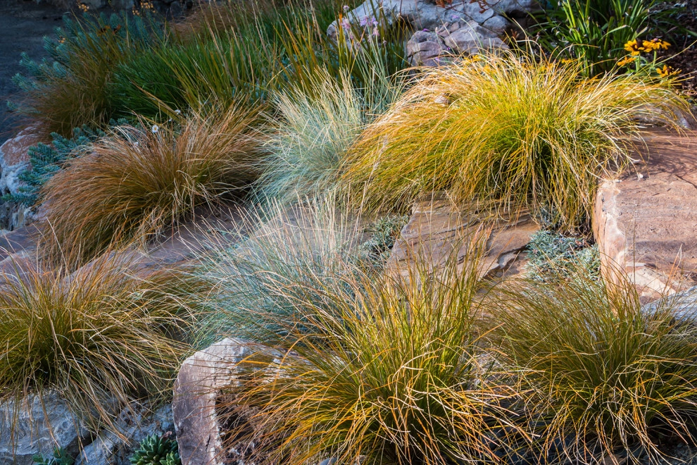 Orinda 3 by Garden Nest Residential Landscape - Photo 18