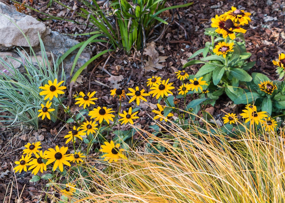 Orinda 3 by Garden Nest Residential Landscape - Photo 17