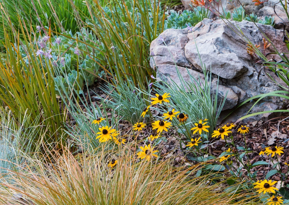 Orinda 3 by Garden Nest Residential Landscape - Photo 6