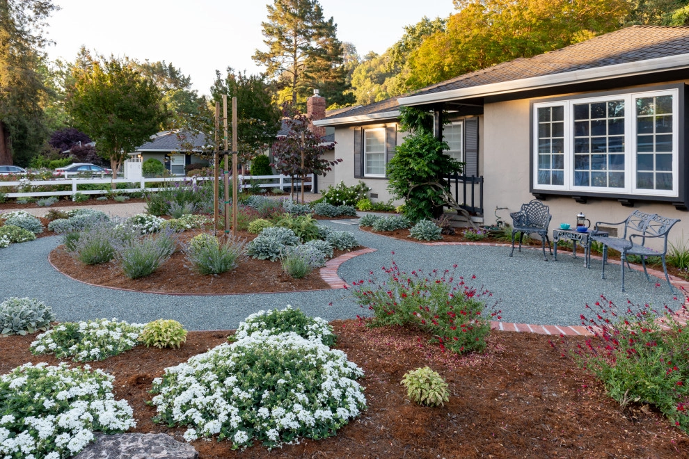 No Mow -Low Water Use / Drought Resistant by Garden Nest Residential Landscape - Photo 4