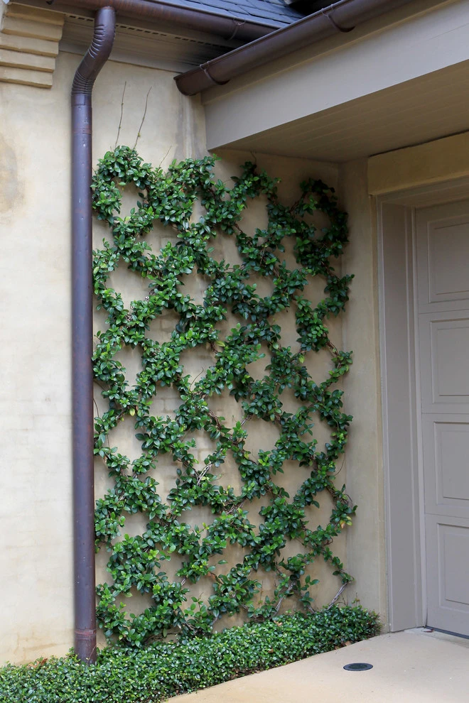 Recent Projects by Daviscapes, Inc. - Photo 11