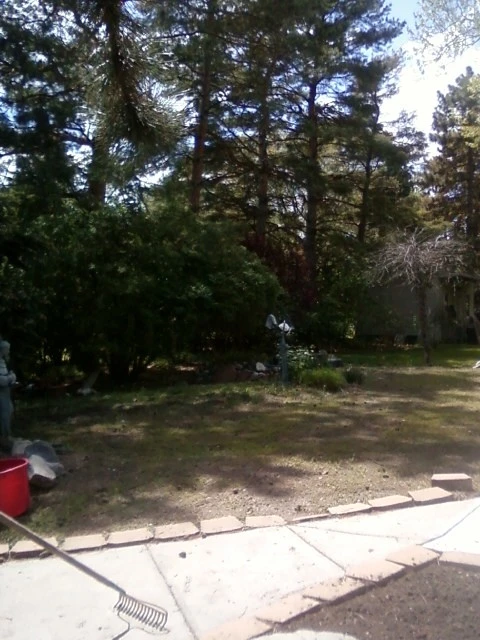 Dee-sign Landscaping And Garden Shop - Photo 6