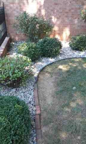 Alberto Alavez Professional Lawn Services LLC 4 by Alberto Alavez Professional Lawn Services LLC - Photo 63