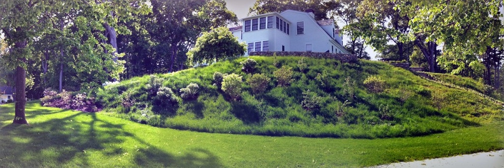 Garden Vignettes - Photo 11