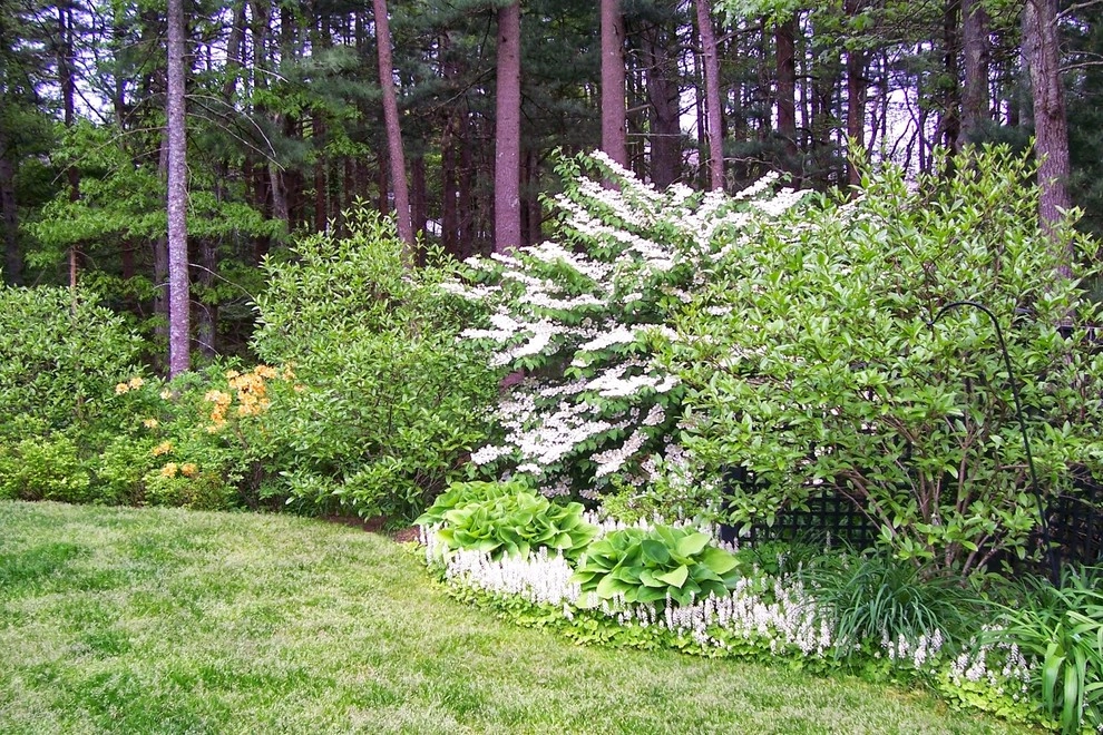 Garden Vignettes - Photo 13