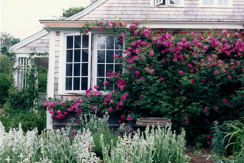 Garden Vignettes - Photo 7