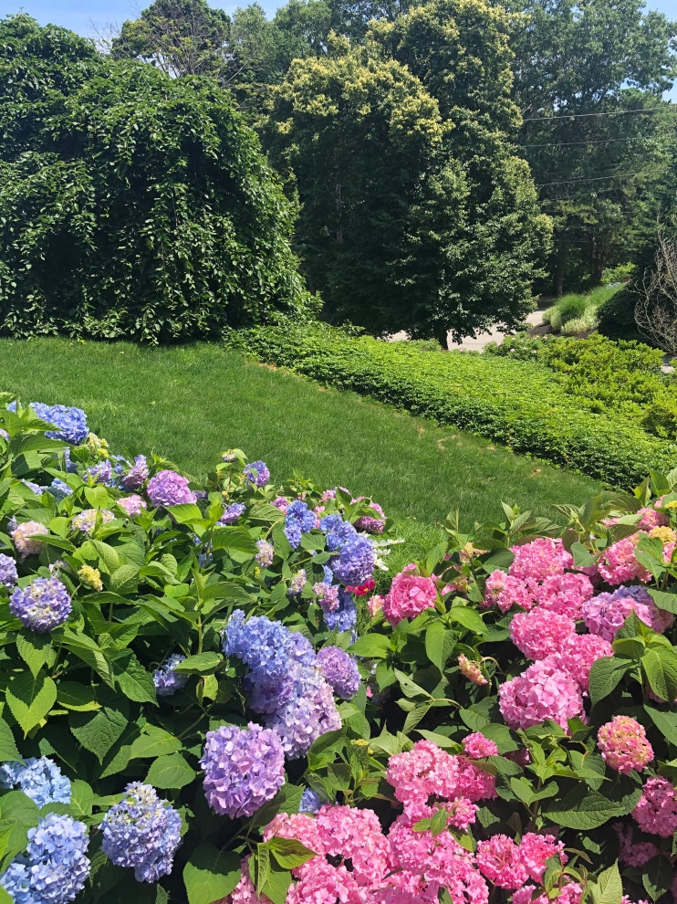 seaside bluff restoration by Garden Vignettes - Photo 3
