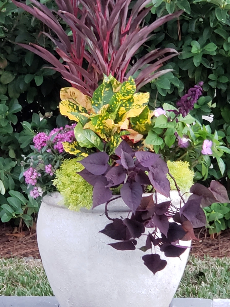 Poolside Pleasure by Gardening Angel - Photo 3