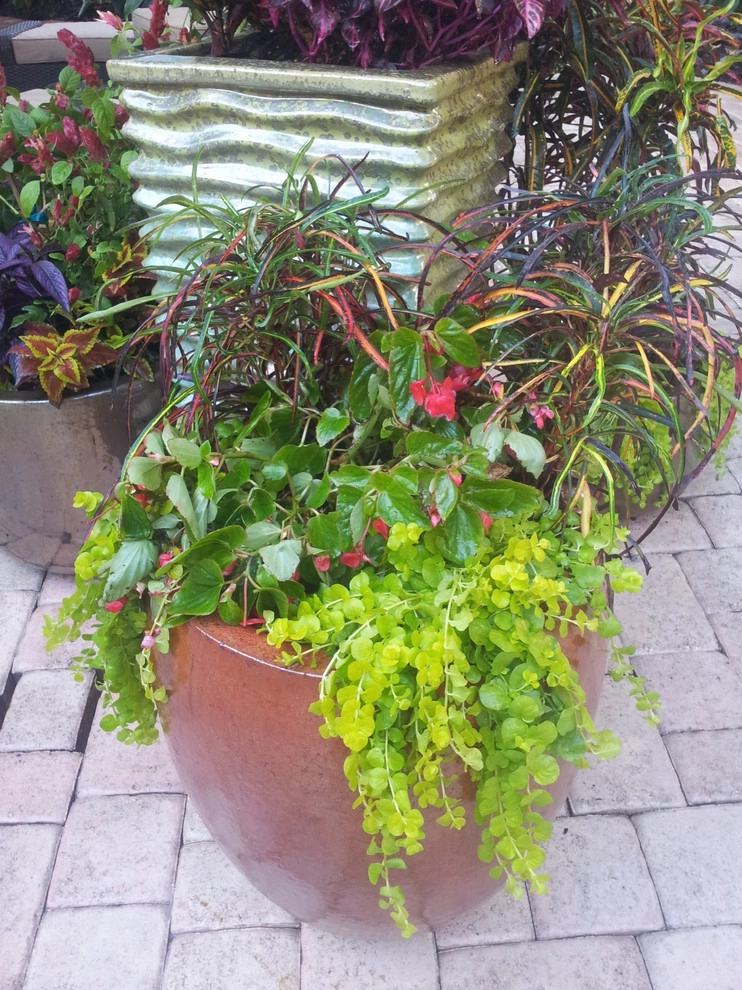 Colorful Containers by Gardening Angel - Photo 16