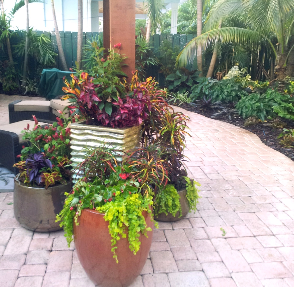 Colorful Containers by Gardening Angel - Photo 6